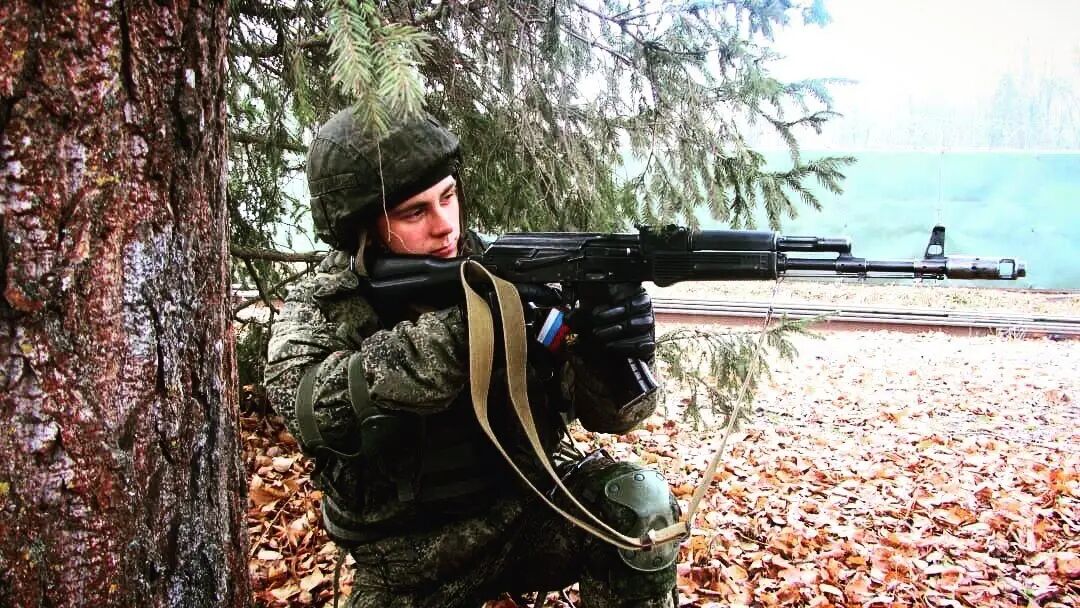 ���� 31250954 ����� ������, 24 ����, ���� ���������� � ������ ���������