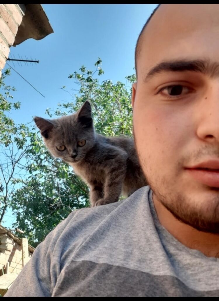 ���� 43415074 ������� �������, 31 ���, ���� ���������� � �������-��-����