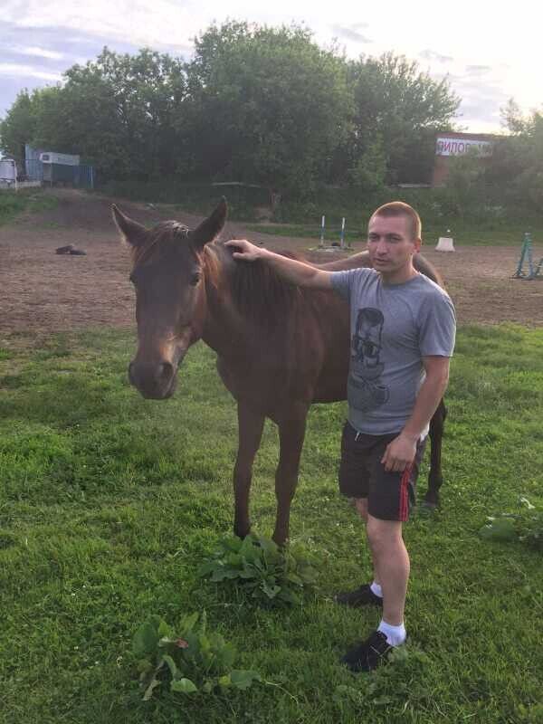 ���� 21770484 ������� ������, 37 ���, ���� ���������� � ���������