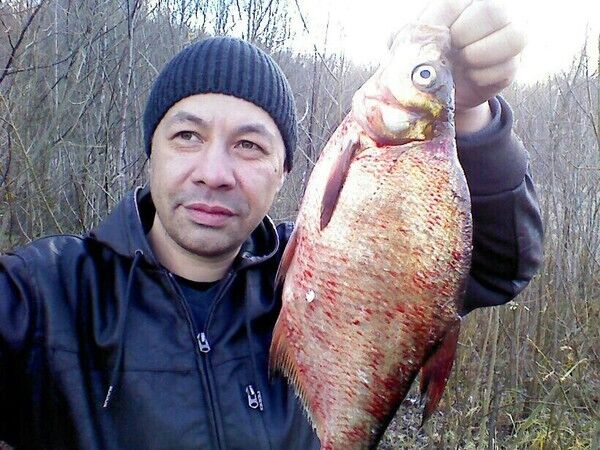 ���� 5422164 ������� ����, 49 ���, ���� ���������� � ����������