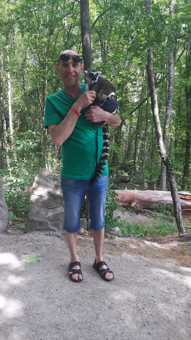 ���� 23059524 ������� �������, 50 ���, ���� ���������� � �����-����������