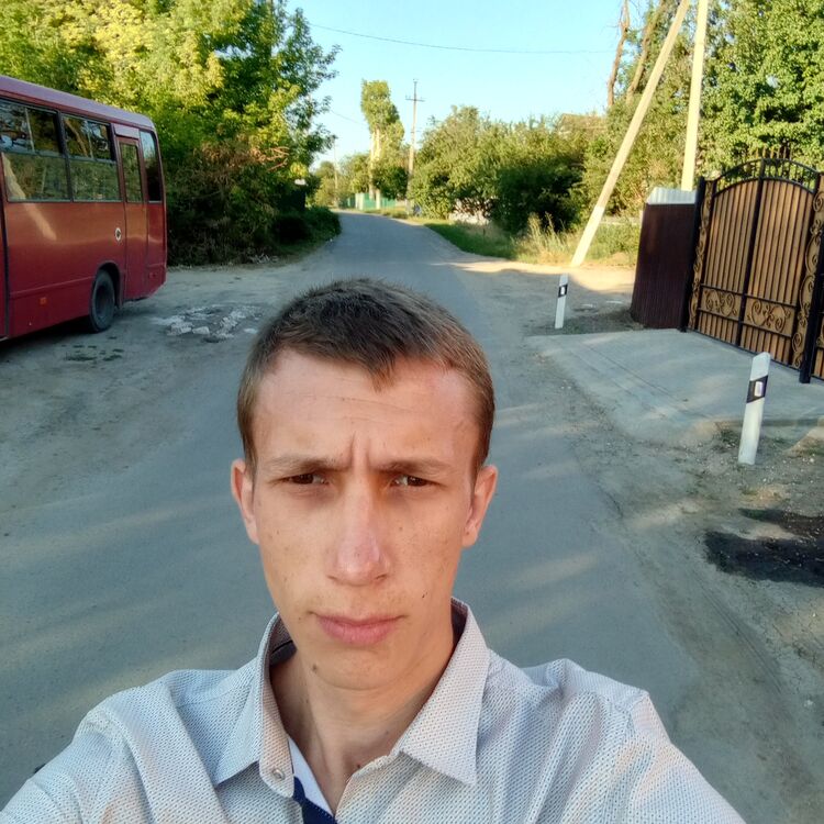  46622054  , 29 ,    