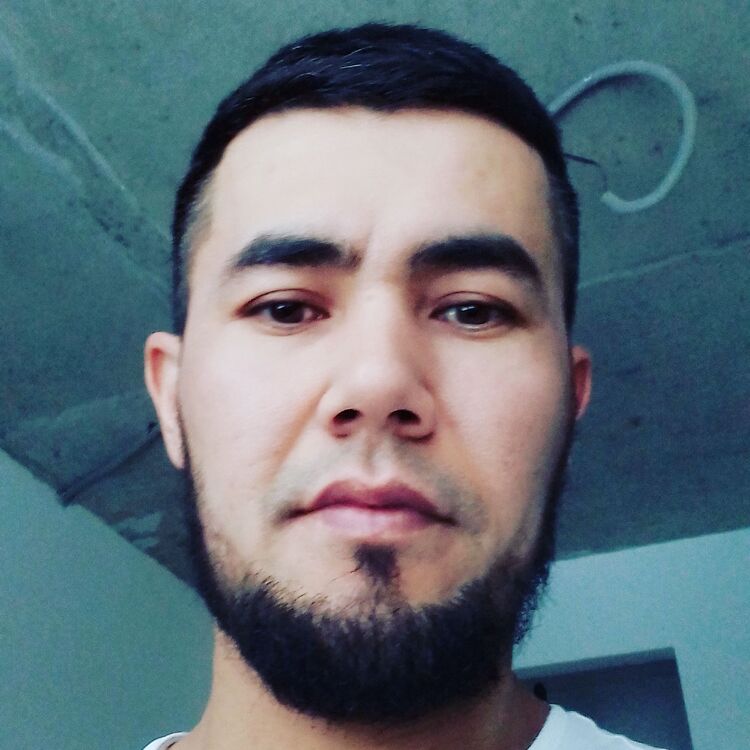  45959604  , 33 ,    