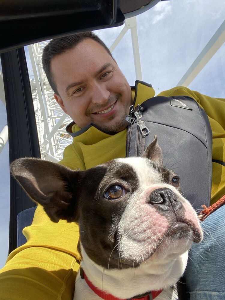 ���������� ���������, ���� ������� �������, 40 ���, ������������ ��� ������, ����� � ���������