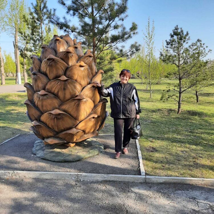 ���� 54017404 ������� �����, 71 ���, ���� ���������� � �������������