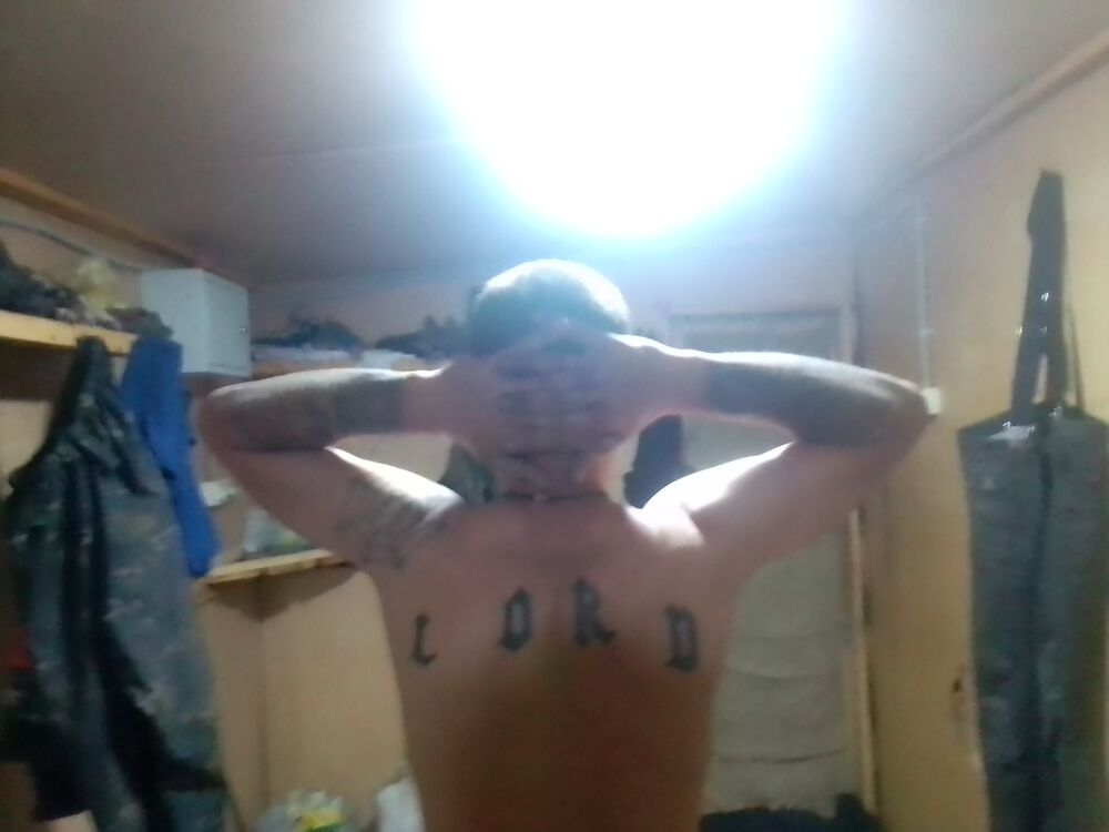  34321504  , 38 ,    