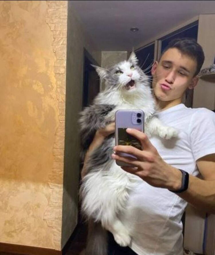 ���� 27637094 ����� �����, 24 ����, ���� ���������� � ��������