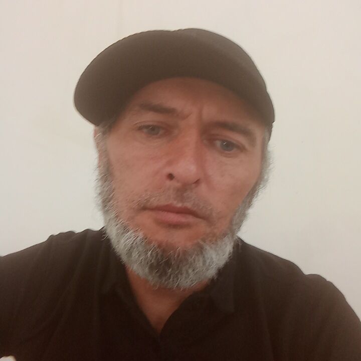  38034504  , 40 ,    