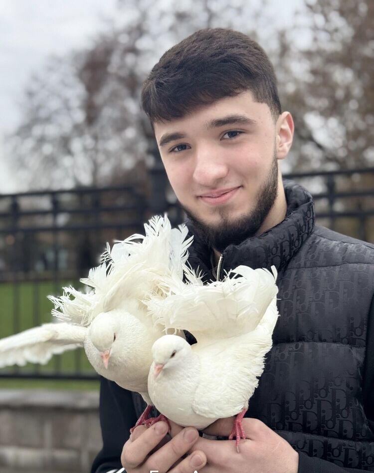 ���� 56405874 ����� Lholov, 20 ���, ���� ���������� � ������