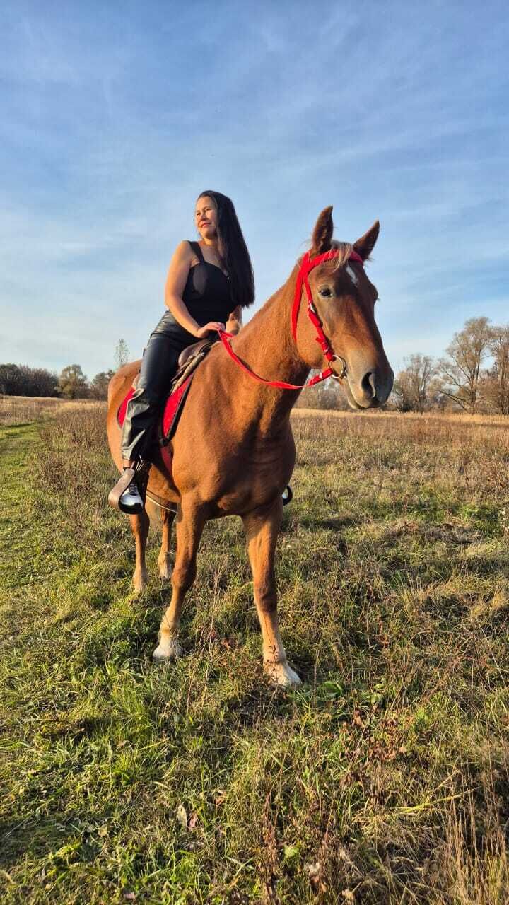 ���������� �������, ���� ������� �����, 51 ���, ������������ ��� c�������� ���������