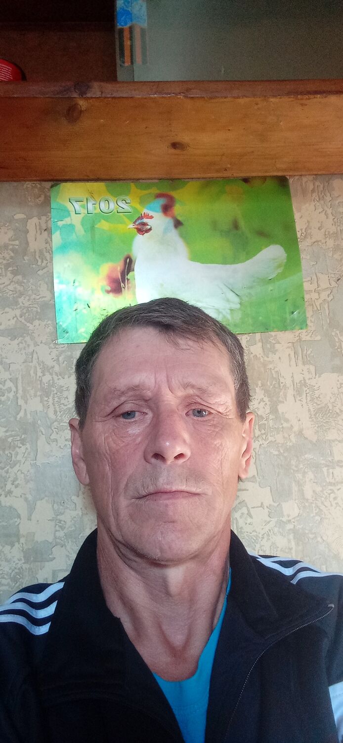  50864254  , 57 ,    
