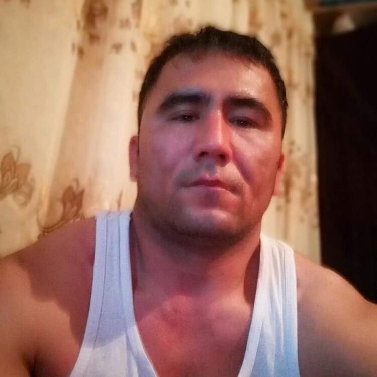  52374704  , 46 ,    