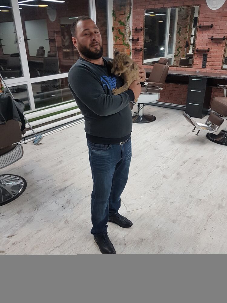 ���� 46697314 ������� �����, 41 ���, ���� ���������� � ������