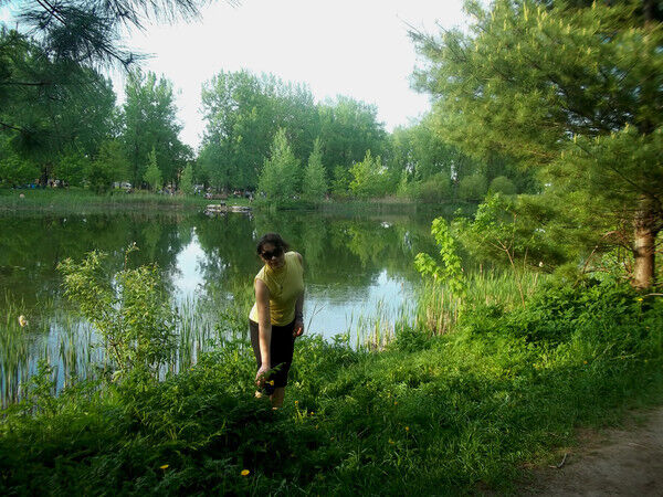 ���� 38387104 ������� ������, 51 ���, ���� ���������� � Jensen Beach