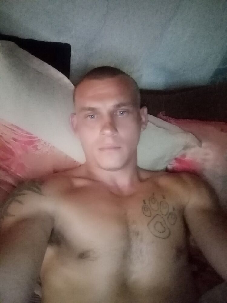  21264564  , 33 ,    