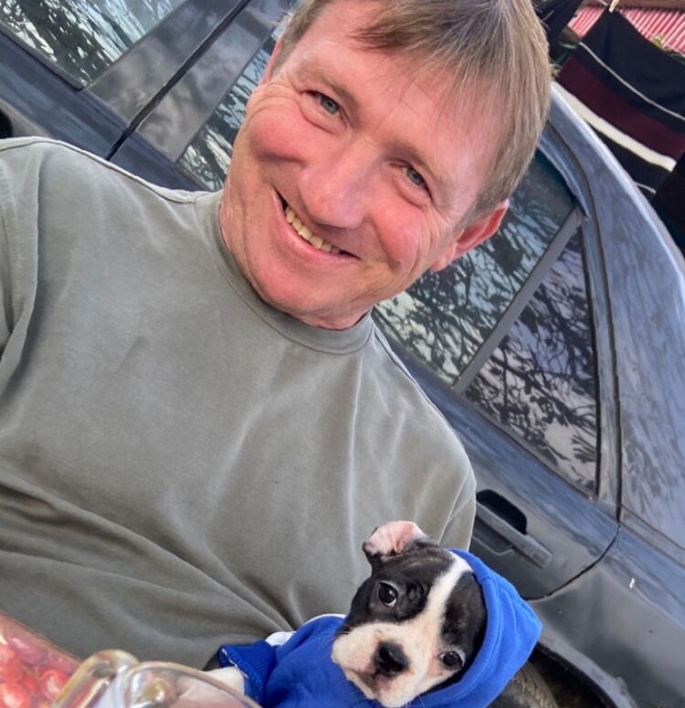 ���� 44962034 ������� ����, 49 ���, ���� ���������� � ����������