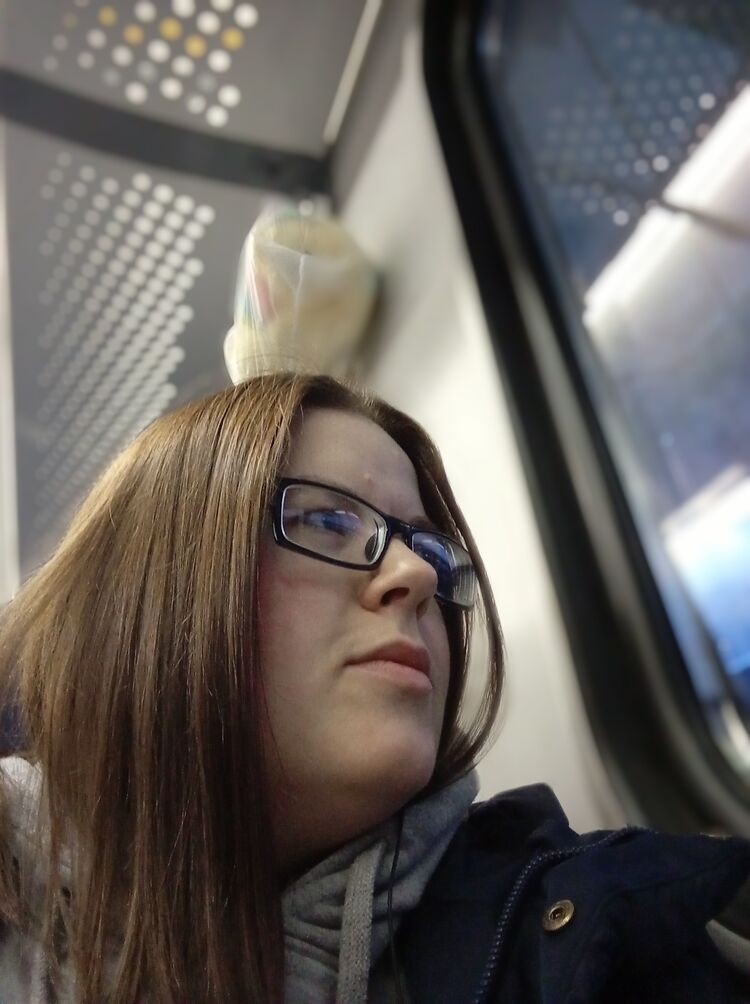 ���������� ������, ���� ������� ��������, 38 ���, ������������ ��� ���������