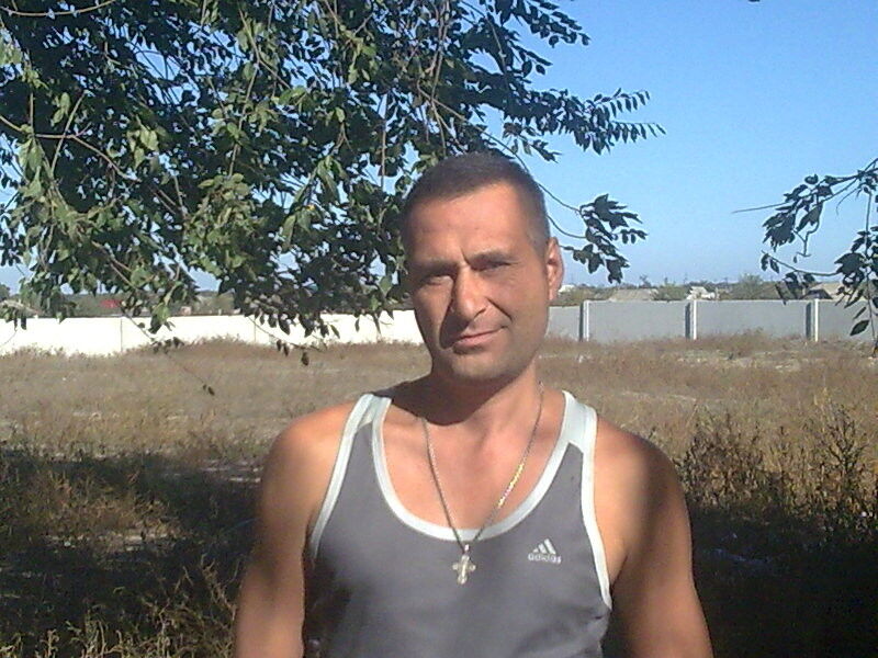  7368764  , 54 ,    