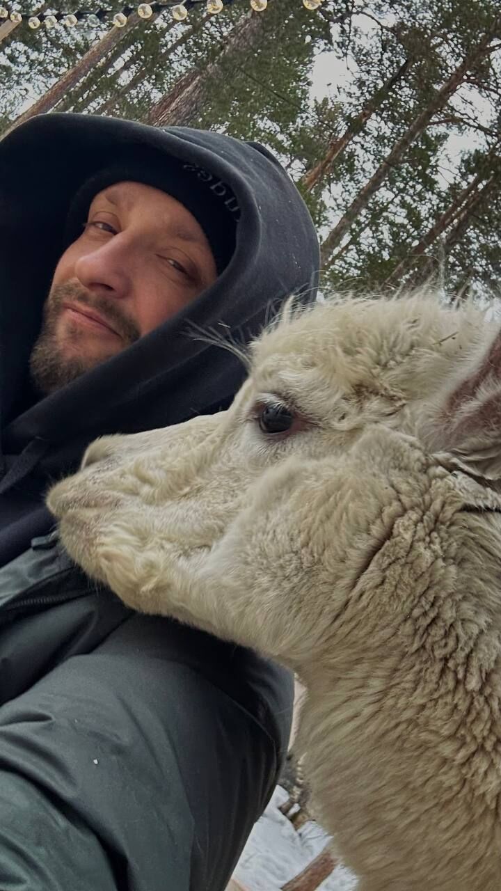 ���������� ������, ���� ������� ������, 31 ���, ������������ ��� ����� � ���������, c�������� ���������