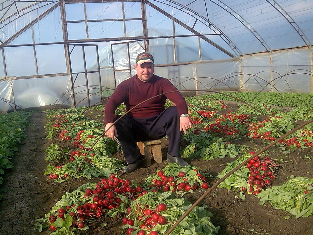 ���������� ����������, ���� ������� ������, 49 ���, ������������ ��� ����� � ���������, c�������� ���������