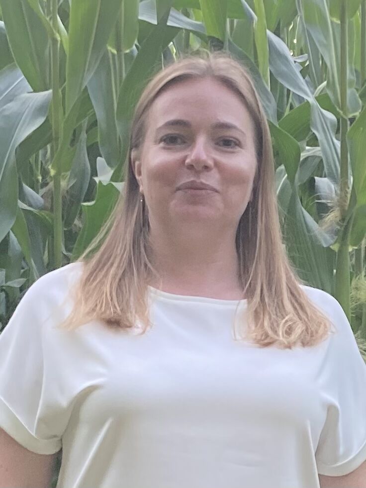 ���������� �����, ���� ������� �����, 37 ���, ������������ ��� ������, ����� � ���������, c�������� ���������