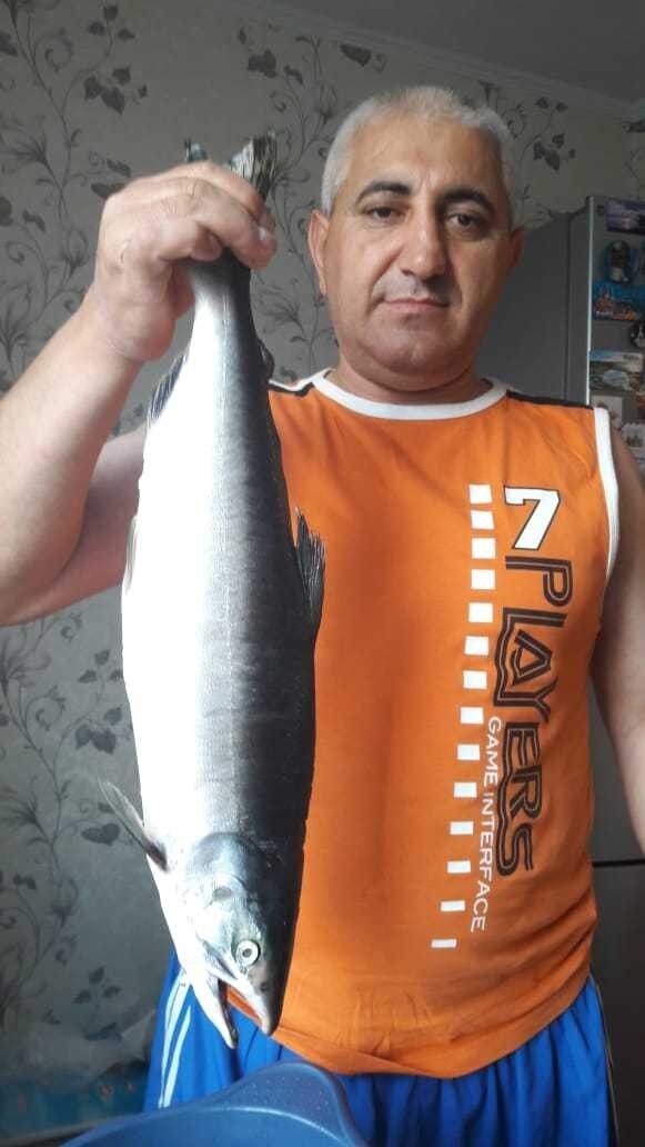 ���� 13533914 ������� ��������, 47 ���, ���� ���������� � ����������