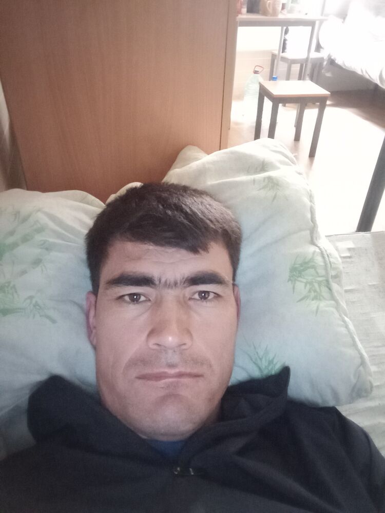  51933364  Toyly, 40 ,    