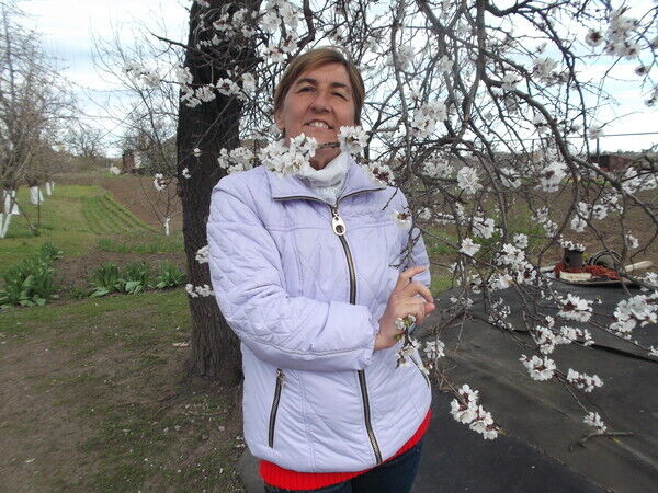 ���� 54803104 ������� ����, 56 ���, ���� ���������� � ������