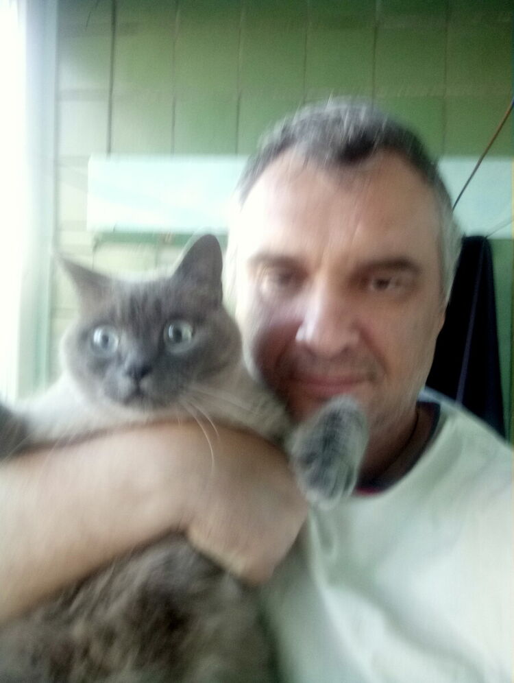  ,   , 53 ,   ,   , c 