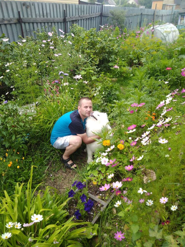 ���������� �������, ���� ������� �������, 39 ���, ������������ ��� ������, ����� � ���������, c�������� ���������