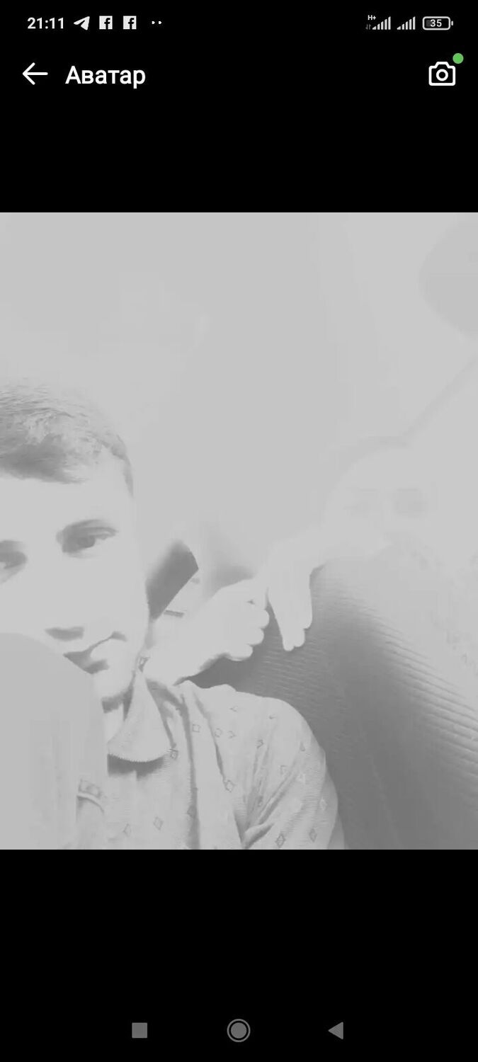  28353024  Zakir, 31 ,    