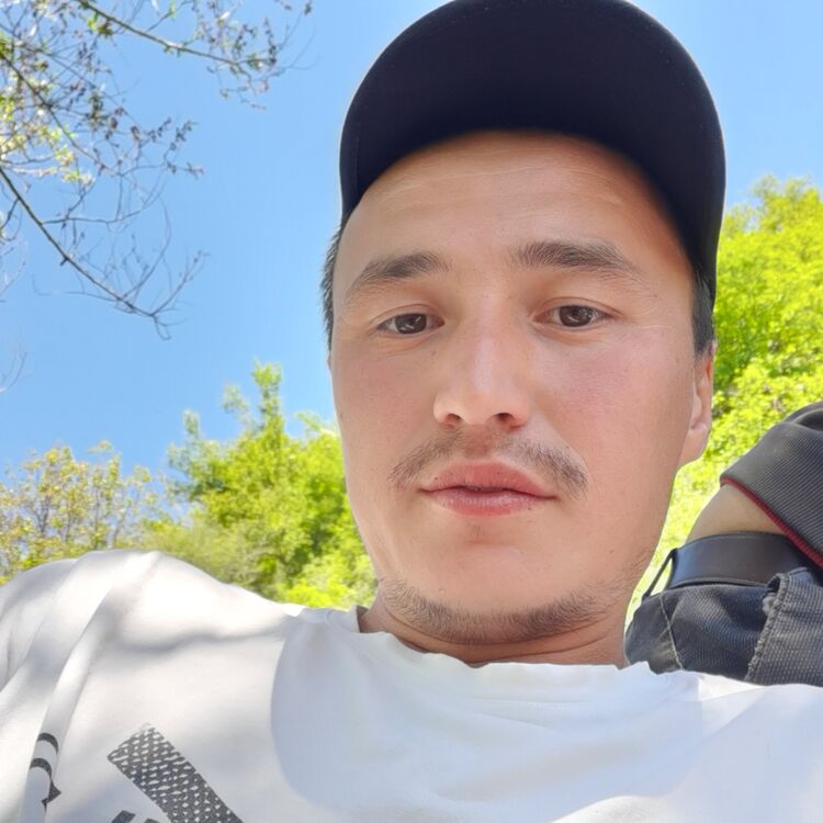 ���� 37512794 ������� �����, 32 ����, ���� ���������� � ������