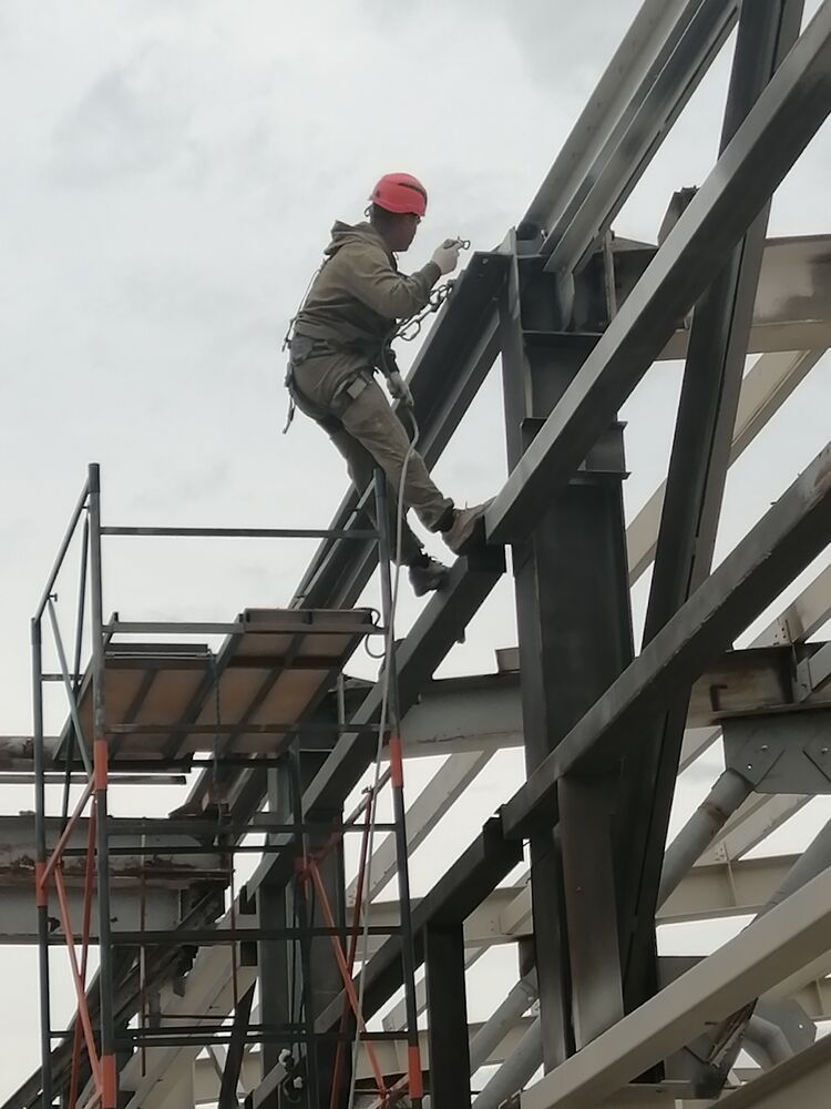 ���������� ����, ���� ������� �������, 37 ���, ������������ ��� ������, ����� � ���������