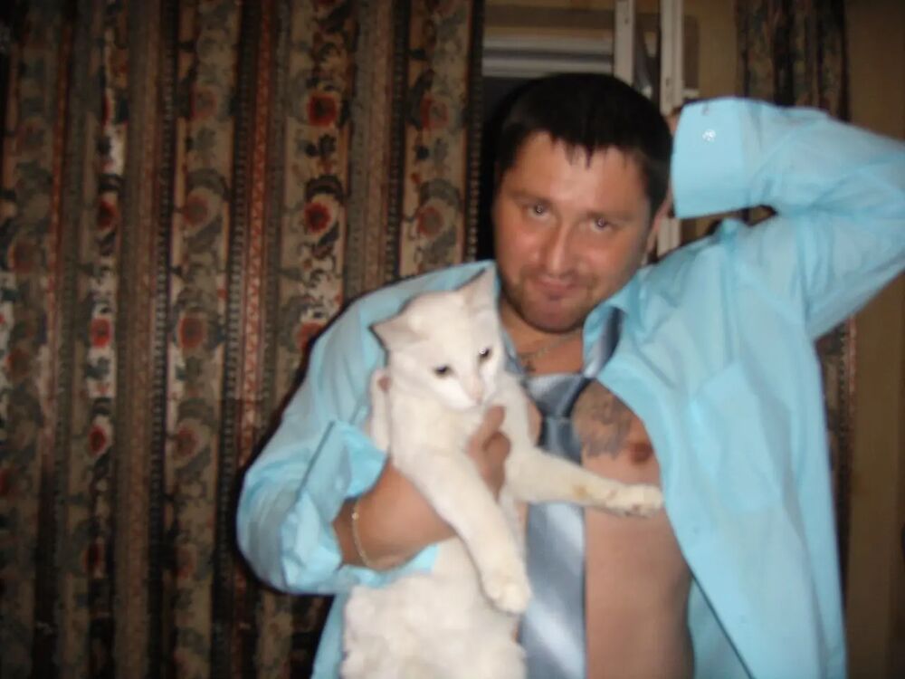  38481504  , 48 ,    -