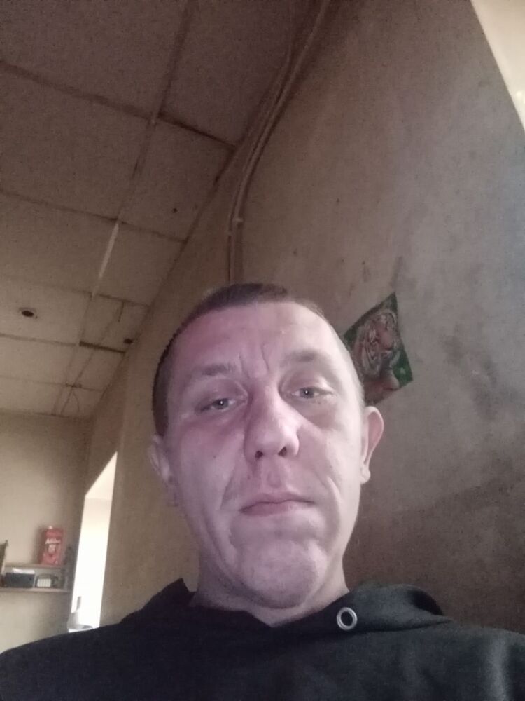  42120444  , 33 ,    