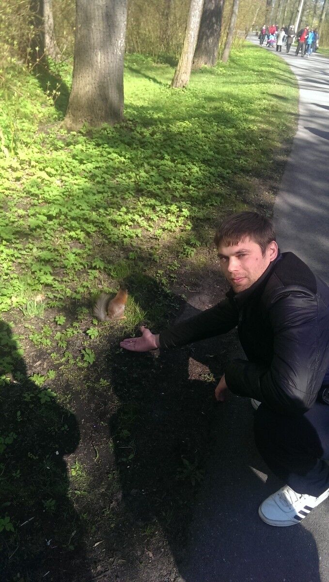 ���������� �����-���������, ���� ������� �����, 38 ���, ������������ ��� ������, ����� � ���������, c�������� ���������