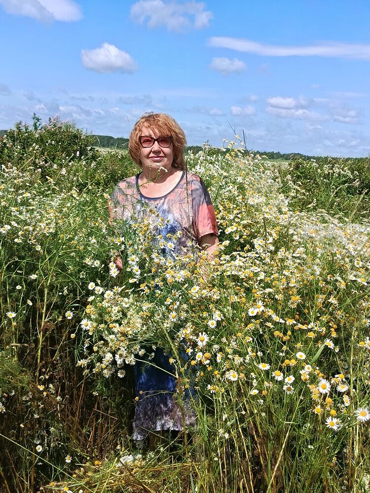  54091864  , 65 ,    --