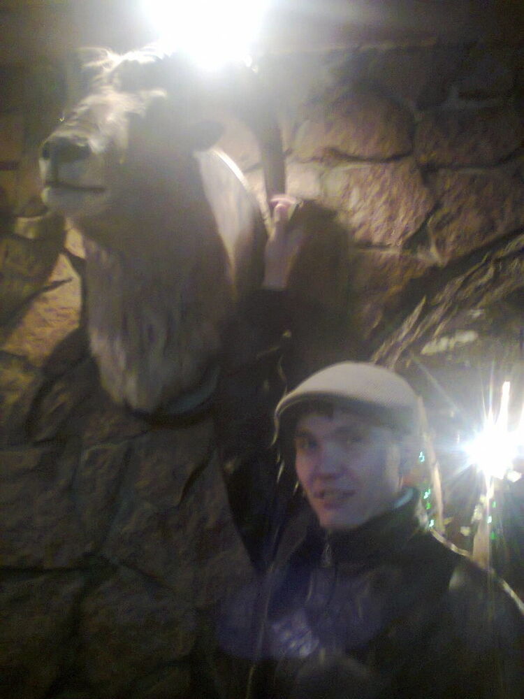 ���� 5603554 ������� �������, 41 ���, ���� ���������� � ���������