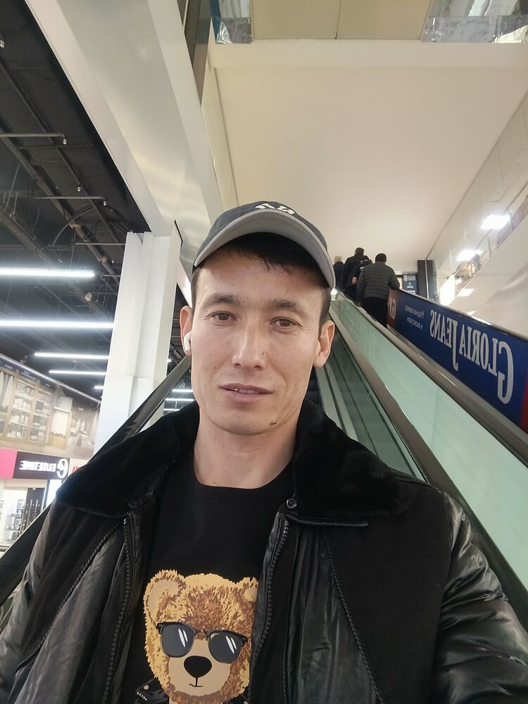 ���� 55080584 ������� �����, 32 ����, ���� ���������� � ��������