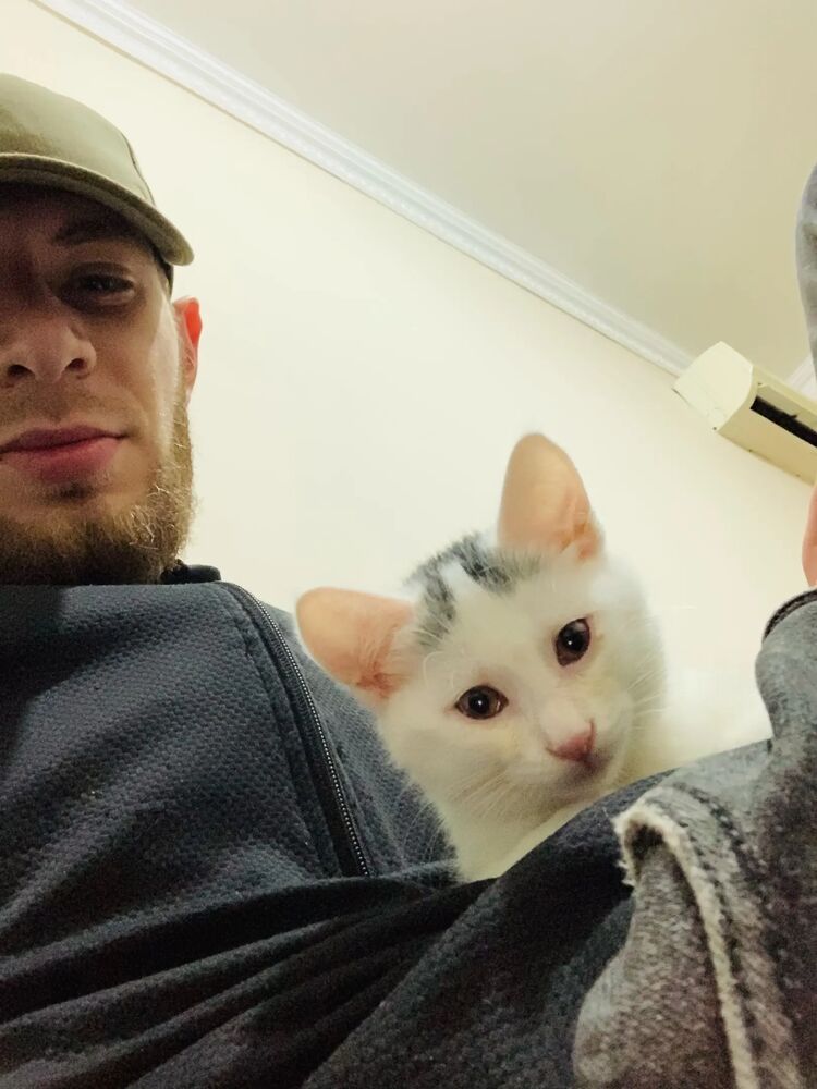 ���� 37864344 ������� ������, 31 ���, ���� ���������� � ��������