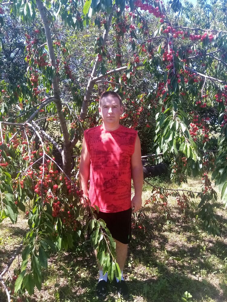 ���� 27477994 ������� ���������, 37 ���, ���� ���������� � ��������