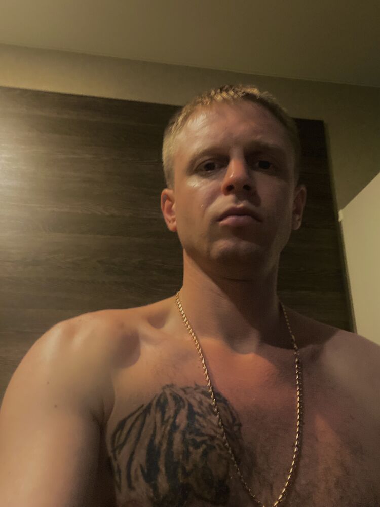  41284344  , 32 ,    