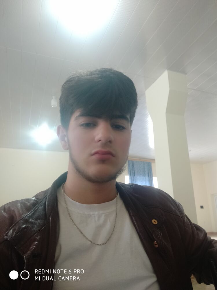  43118794  , 19 ,    