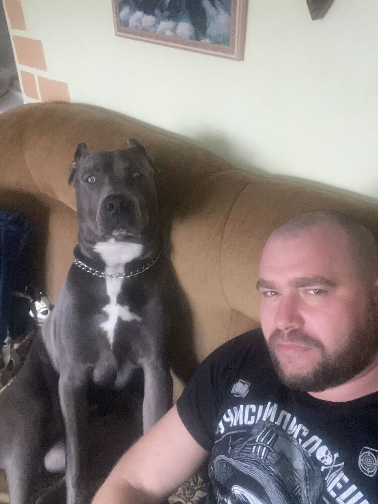 ���� 55329154 ������� ����, 33 ����, ���� ���������� � ������