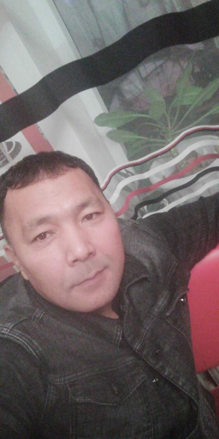  36855484  , 51 ,    