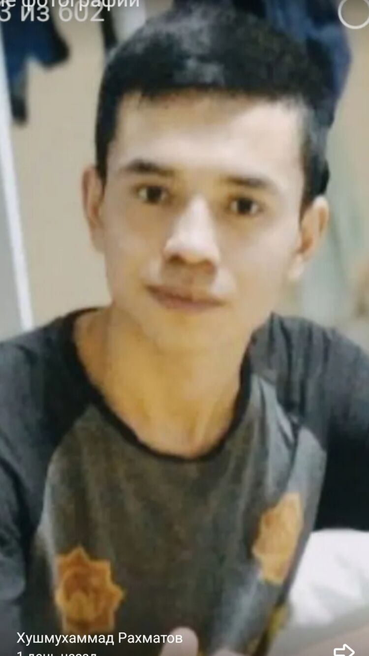  31263284  , 24 ,    