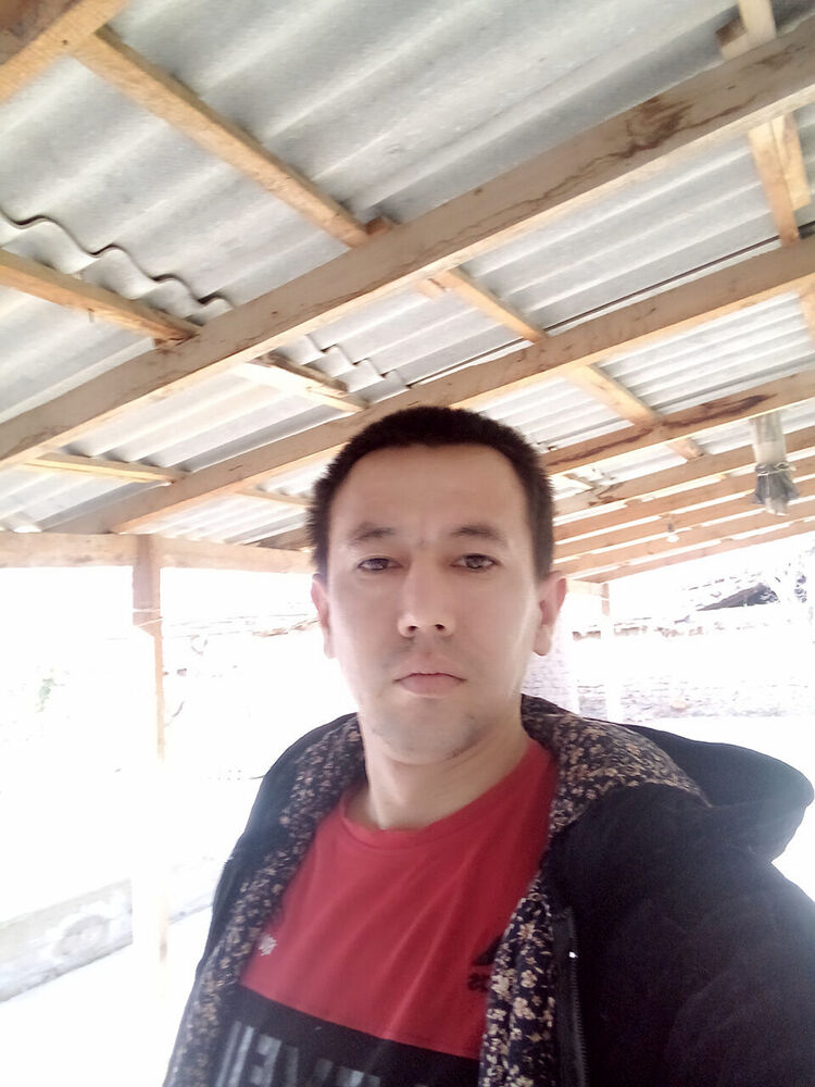  50511714  , 34 ,    