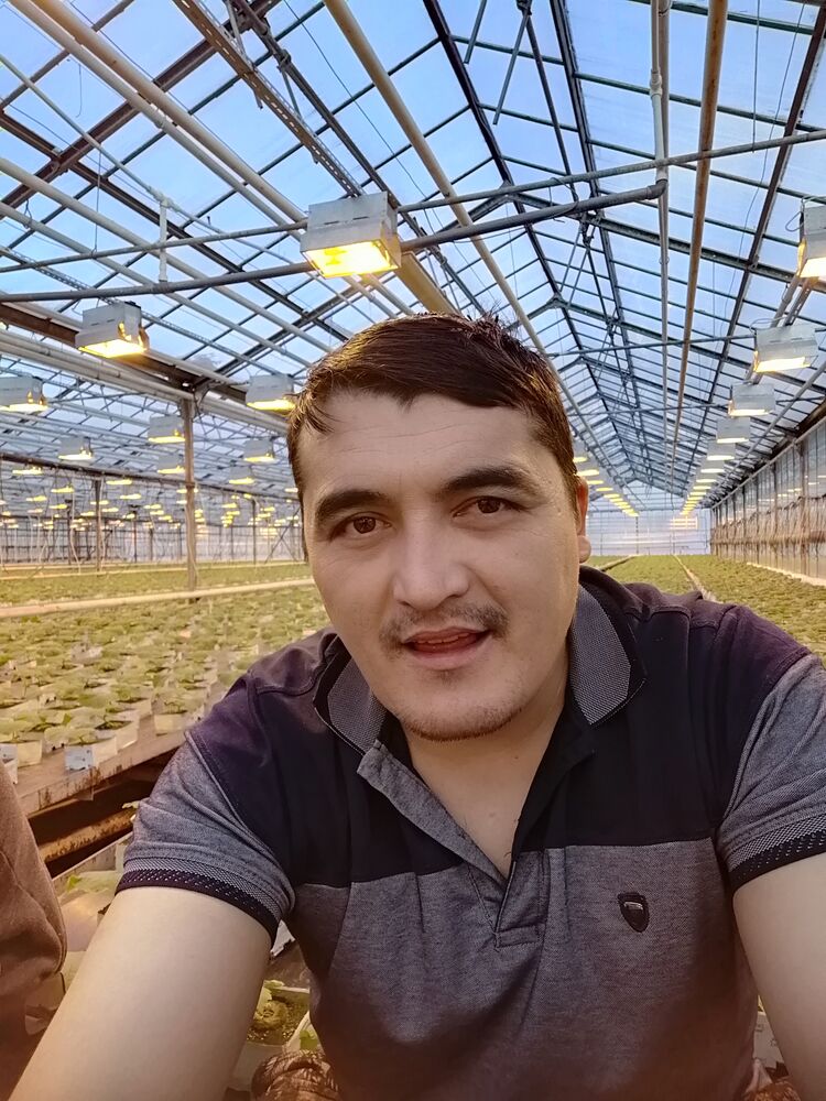 ���� 25787774 ������� �������, 38 ���, ���� ���������� � ������