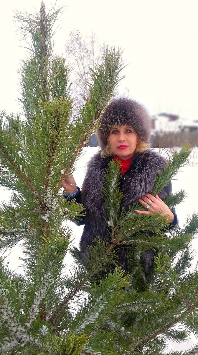 ���������� ������, ���� ������� �������, 50 ���, ������������ ��� ����� � ���������, c�������� ���������