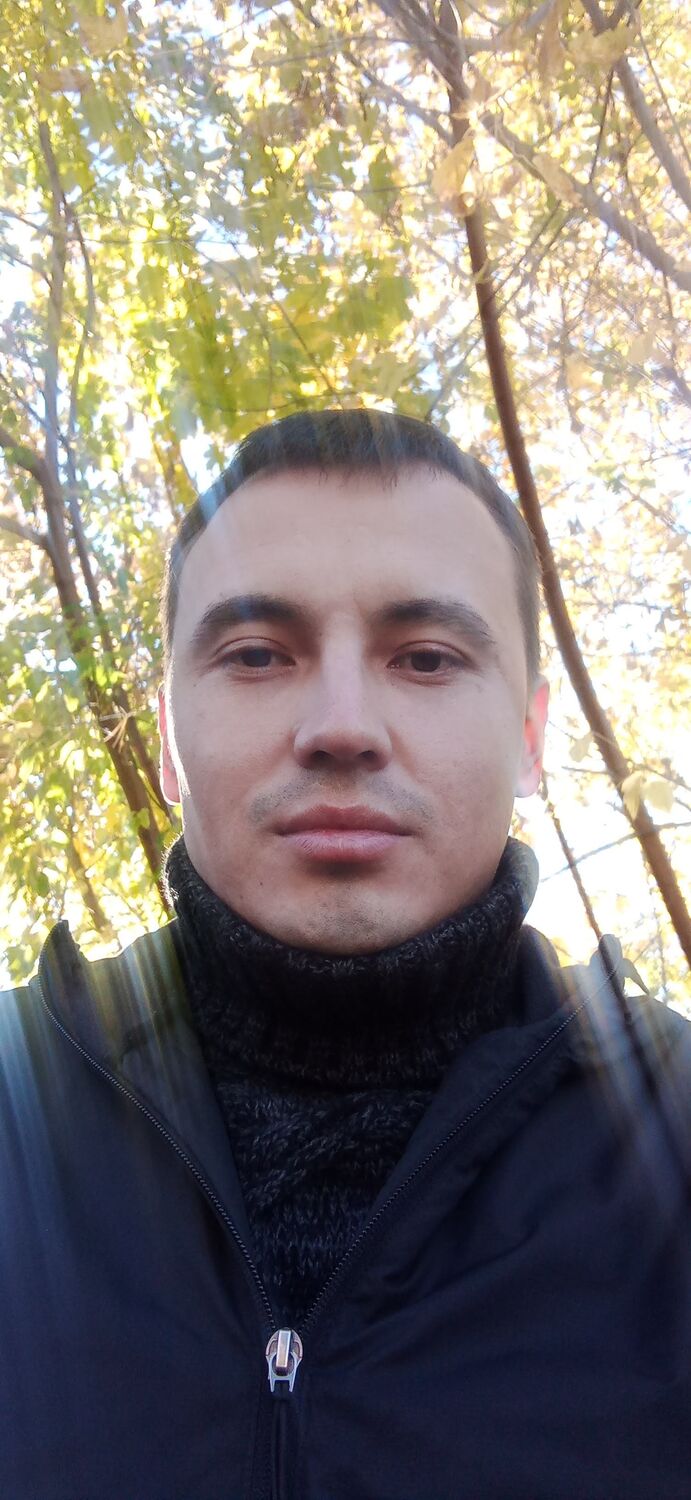  31081644  , 33 ,    -